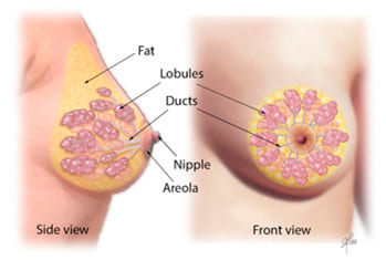 Nipple pain